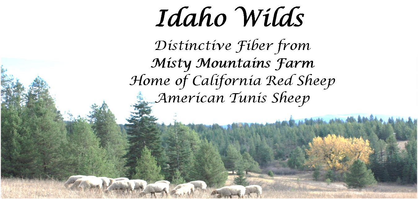 Idaho Wilds Website Banner